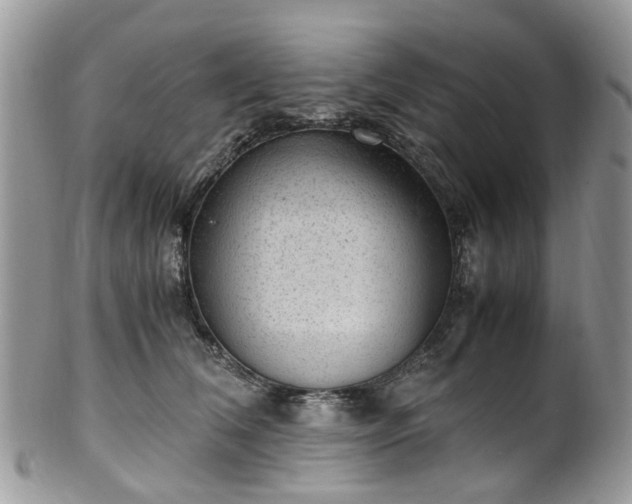 X0000100420612200806131100