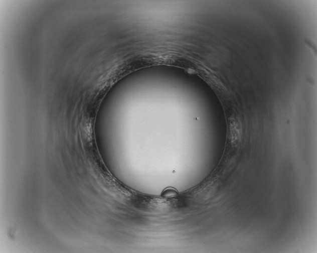 X0000100420613200806131100