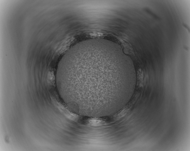 X0000100420614200806131100