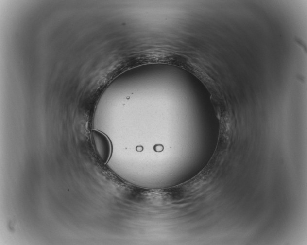 X0000100420615200806131100