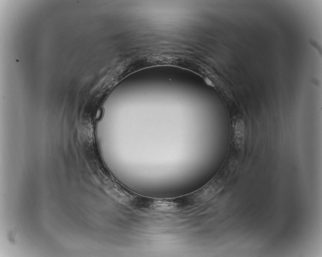 X0000100420617200806131100
