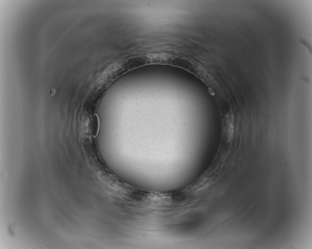 X0000100420619200806131100