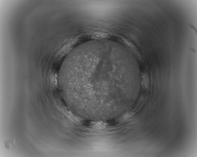 X0000100420621200806131100