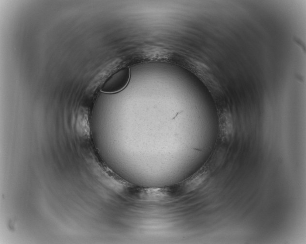 X0000100420622200806131100