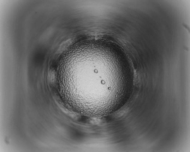 X0000100420623200806131100