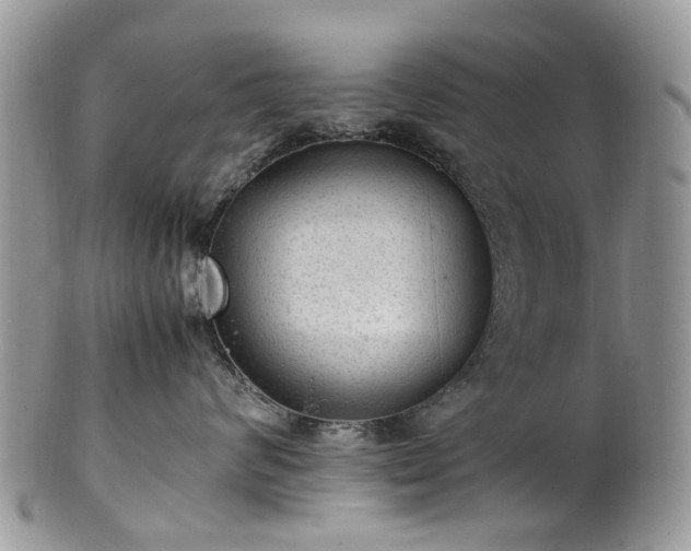 X0000100420624200806131100