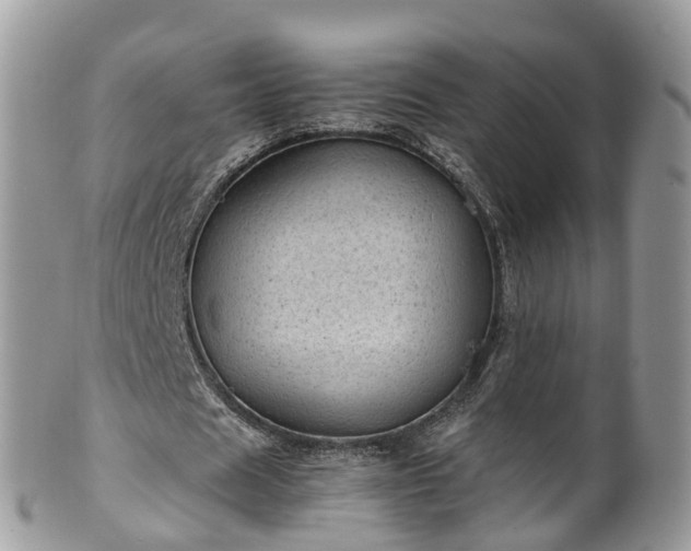 X0000100420625200806131059