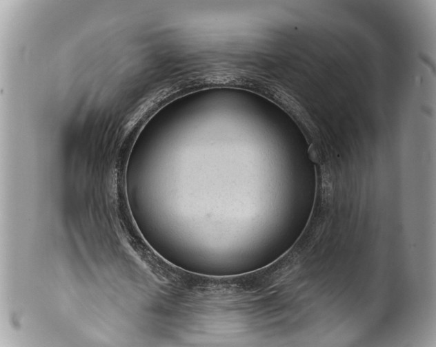 X0000100420626200806131059