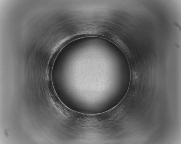 X0000100420628200806131059