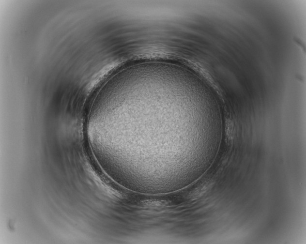 X0000100420629200806131059