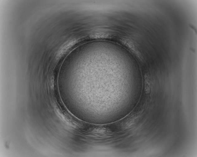 X0000100420631200806131059