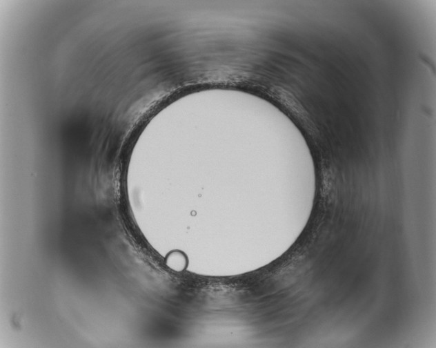 X0000100420632200806131059