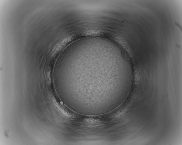 X0000100420633200806131059