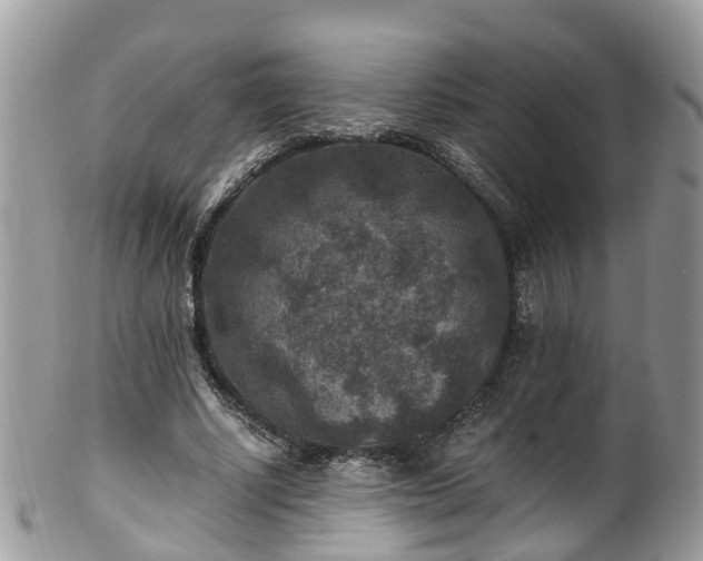 X0000100420634200806131059