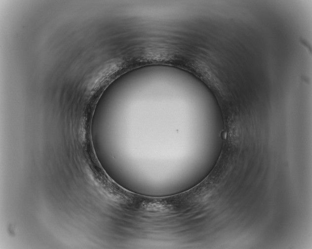 X0000100420635200806131059