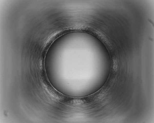 X0000100420636200806131059