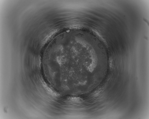 X0000100420637200806131059