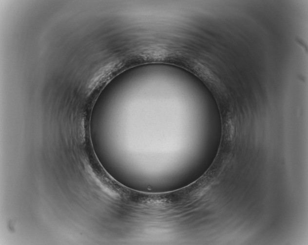 X0000100420638200806131059