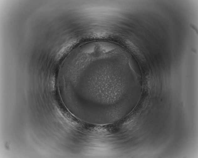 X0000100420640200806131100