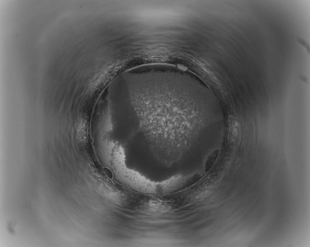 X0000100420641200806131100