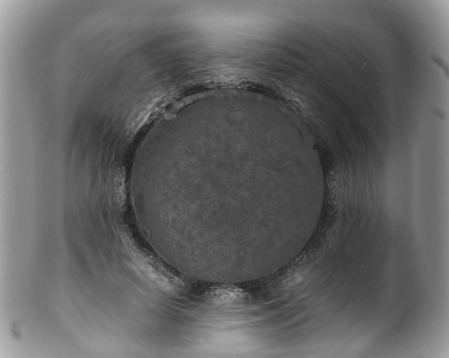 X0000100420642200806131100