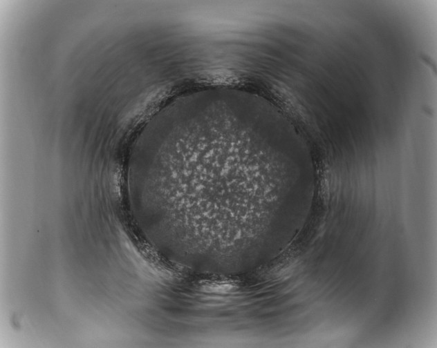 X0000100420643200806131100