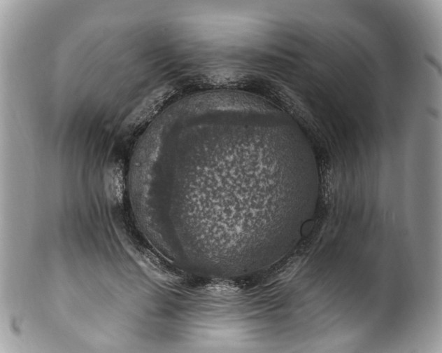 X0000100420644200806131100