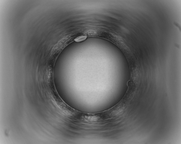 X0000100420645200806131100