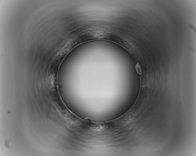 X0000100420646200806131100