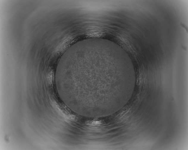 X0000100420647200806131100