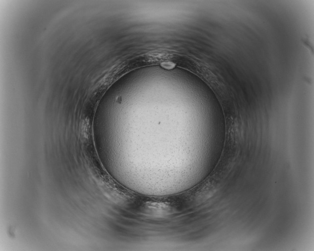 X0000100420649200806131100
