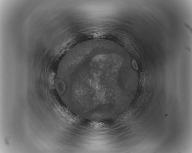 X0000100420650200806131100