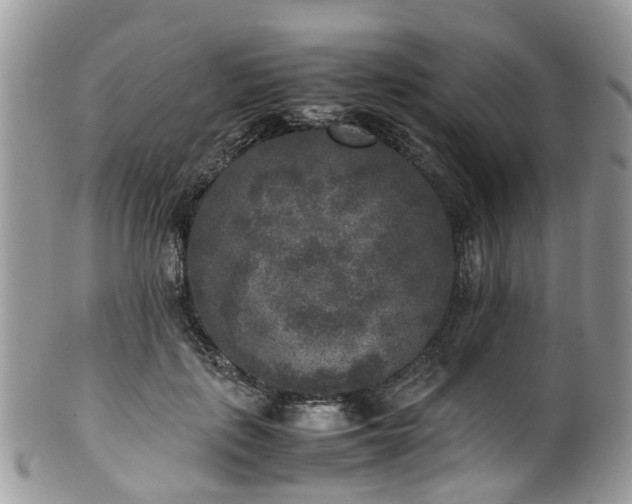 X0000100420651200806131100