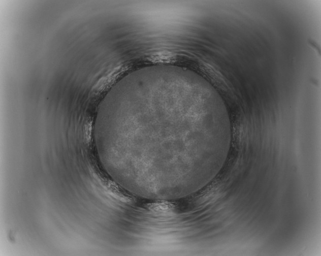 X0000100420652200806131100