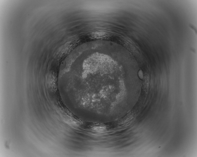 X0000100420653200806131100
