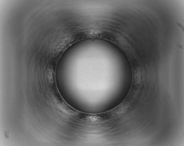 X0000100420654200806131100
