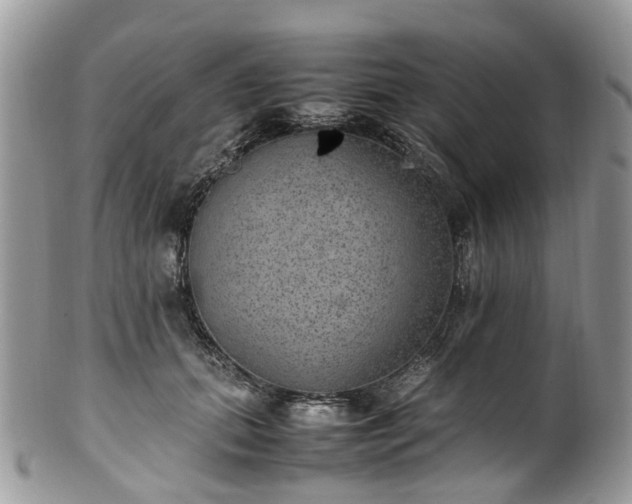 X0000100420655200806131100