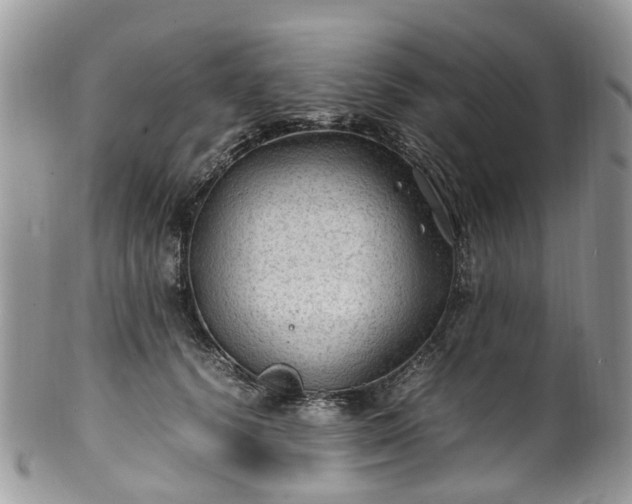 X0000100420656200806131100