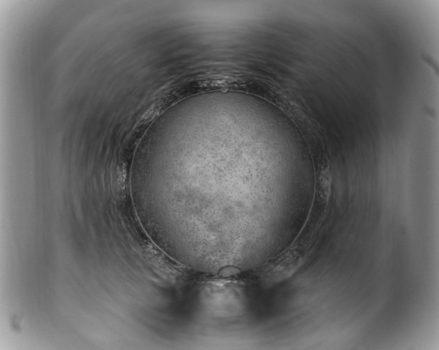 X0000100420657200806131100