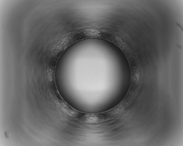 X0000100420658200806131100