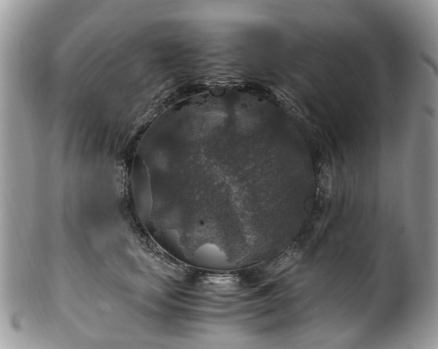 X0000100420659200806131100