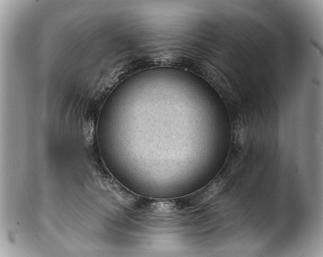 X0000100420660200806131100