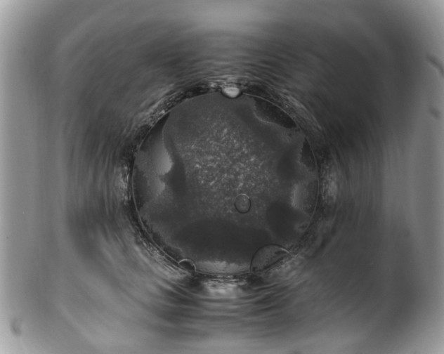 X0000100420661200806131100