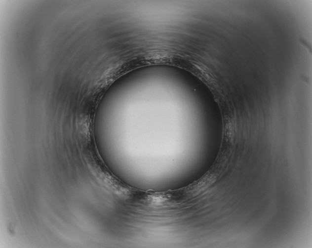 X0000100420662200806131100