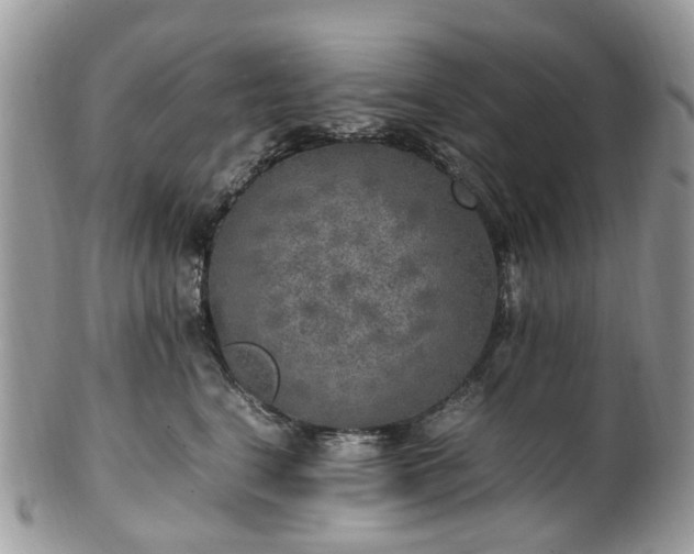 X0000100420664200806131100