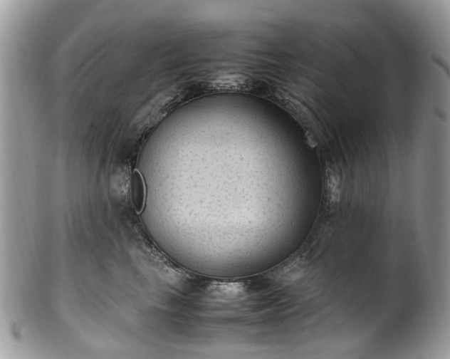X0000100420665200806131100