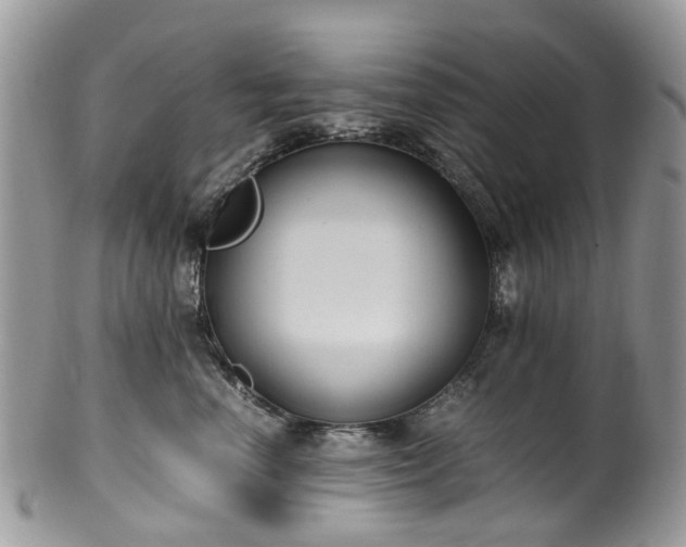 X0000100420666200806131100