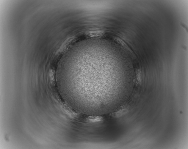X0000100420667200806131100