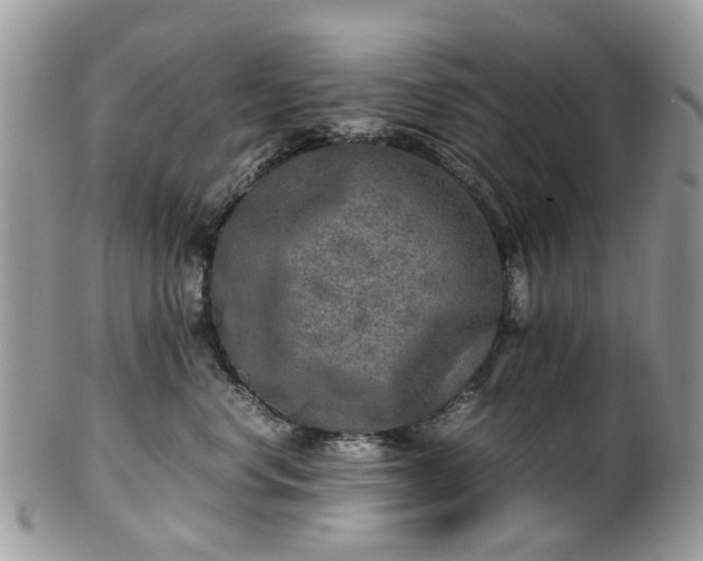 X0000100420668200806131100