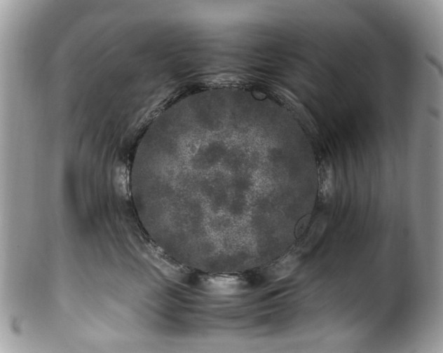 X0000100420669200806131100